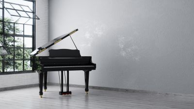 Piano Moving Service detail